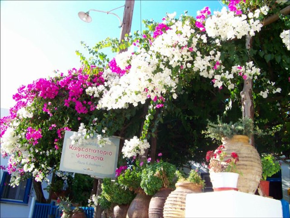 Amorgos Grece Cyclades