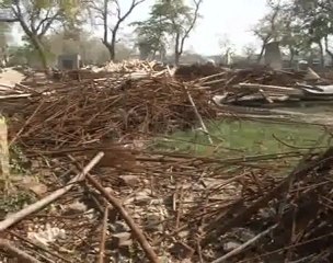 Metro Bus BRT Project & Grounds Condition Problem