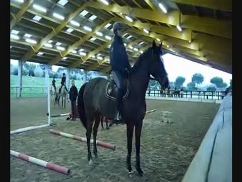 stage Rodolphe Scherer 09-02-2013 après midi 2ème groupe
