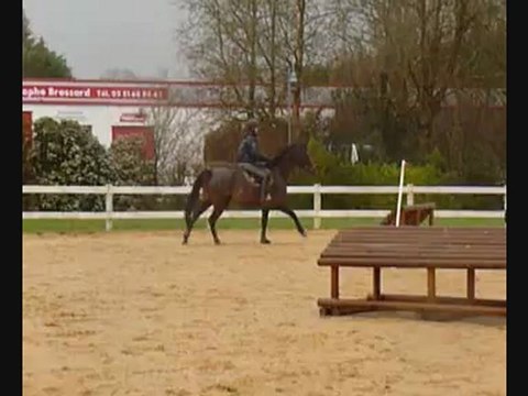 stage Rodolphe Scherer 10-02-2013 après midi 2ème groupe