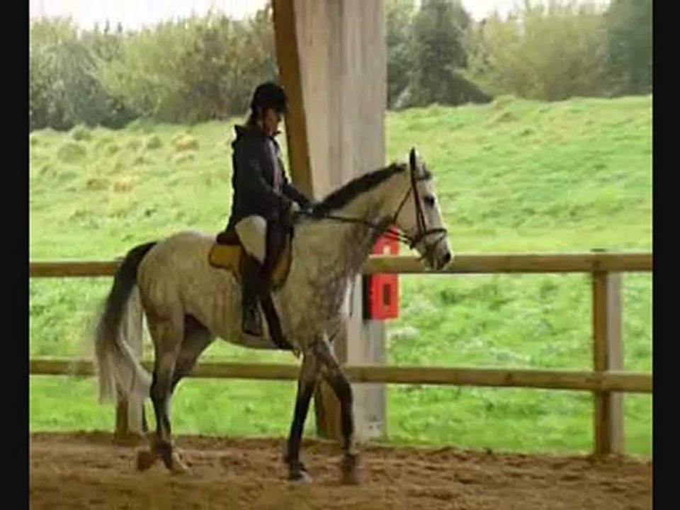 stage Rodolphe Scherer 09-02-2013 matin 2ème groupe