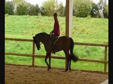 stage Rodolphe Scherer 10-02-2013 matin 1er groupe