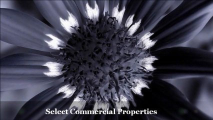 the M group - Select Commercial Properties HD