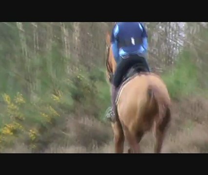 stage st mars cross sandrine