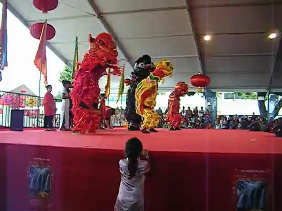 Danse des lions