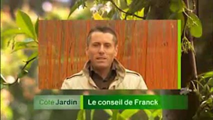 la vannerie et l'osier de gué-droit