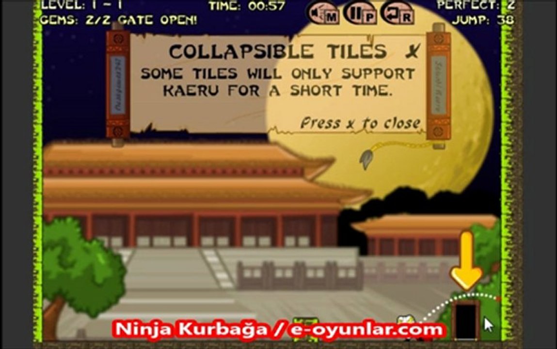 Ninja Kurbağa