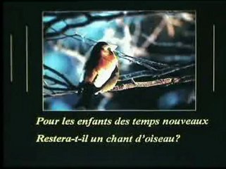 Dernière parution de la rubrique du dimanche de Bernard L’Oiseau