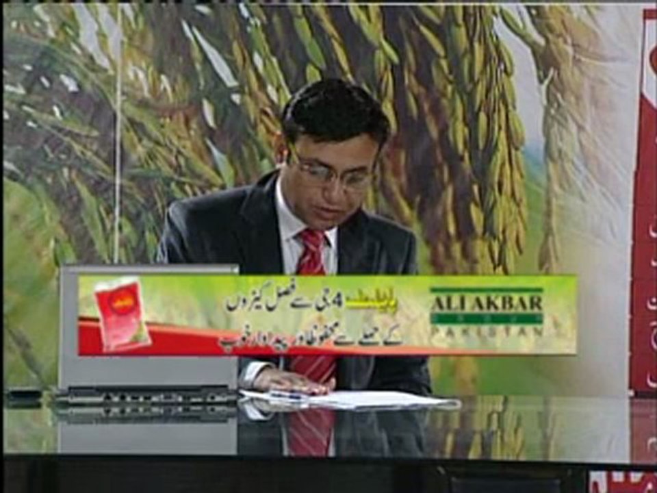 Zari Pandal with Saghir Ramay on Fisheries Development in Punjab Part 02