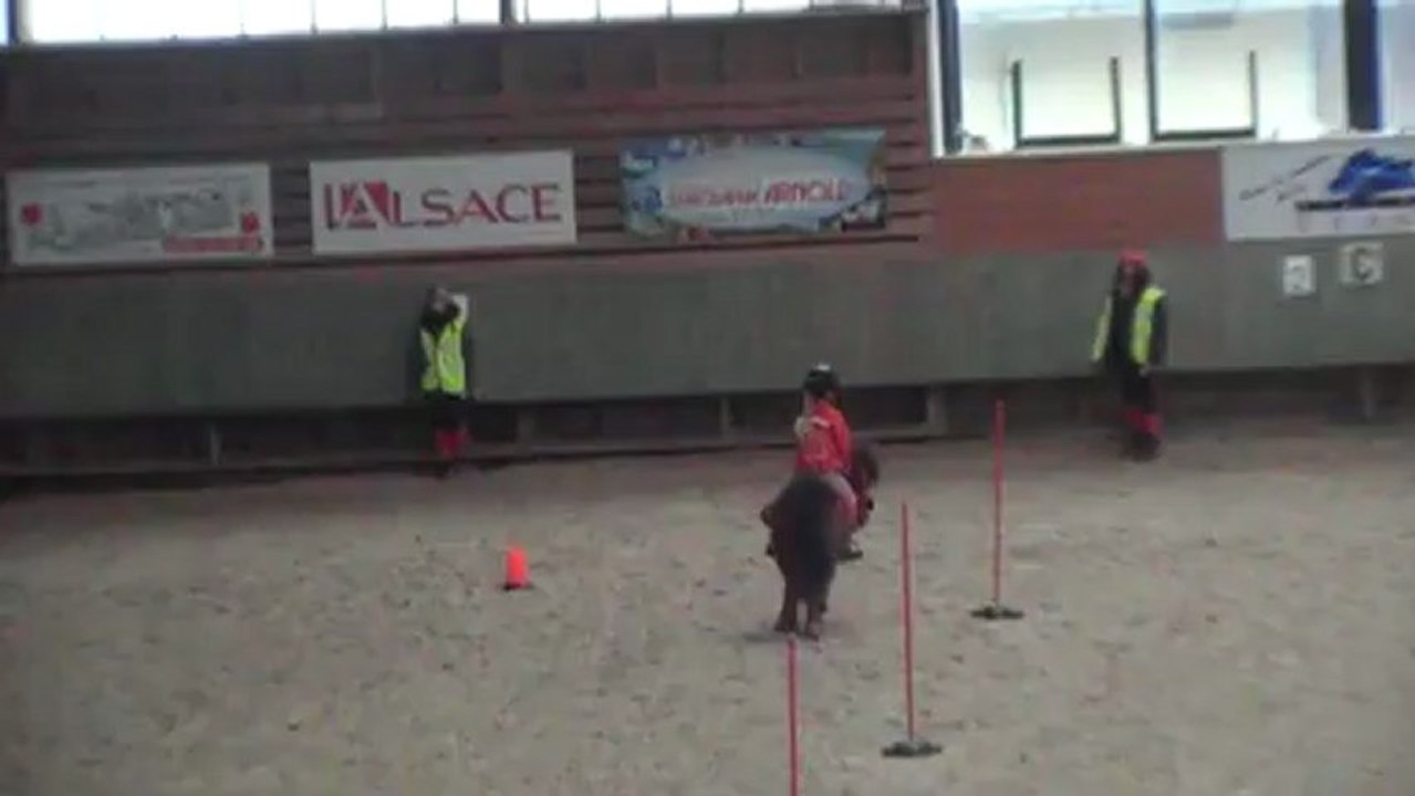 slalom