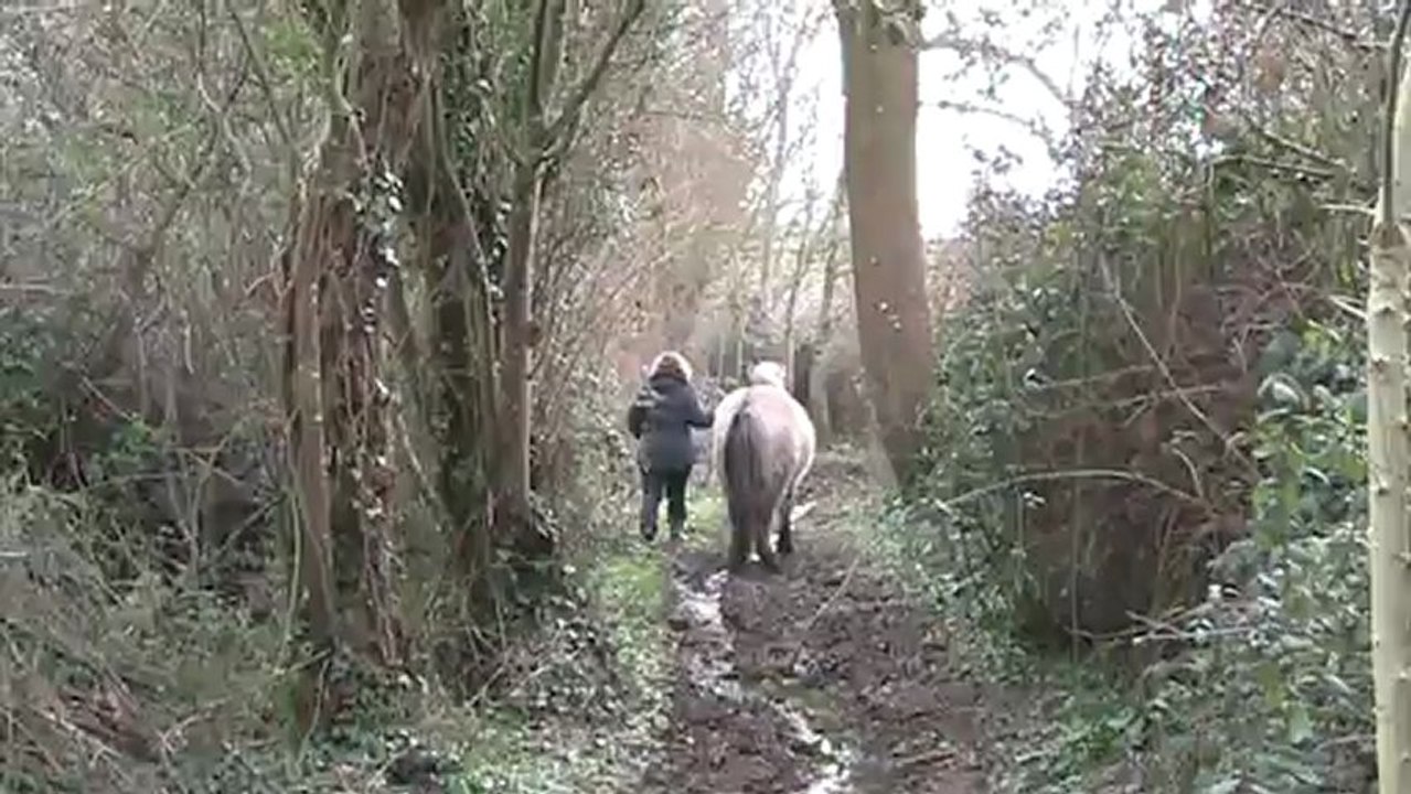 balthus balade fraiche