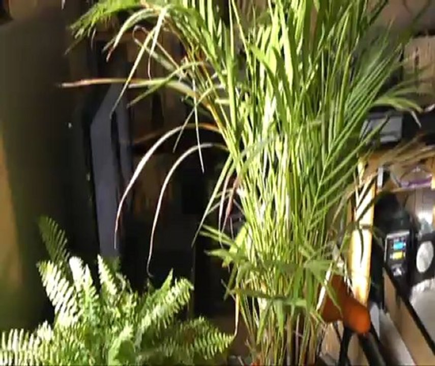 appart-juillet-sète