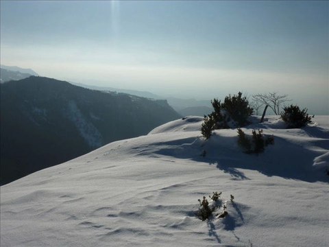 Raquette sur les Rancs du Touet (26 Vercors)