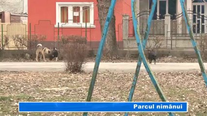 PARCUL NIMANUI