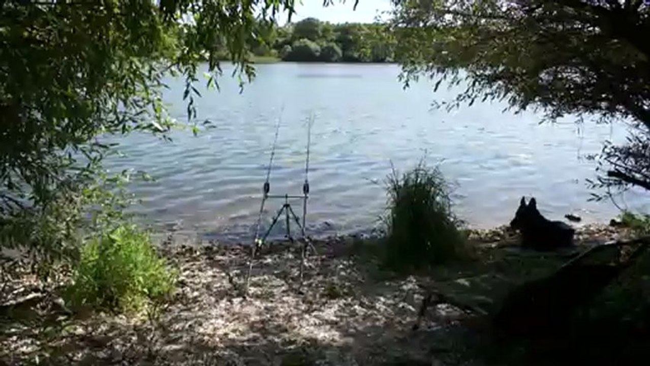 Notre dernière session