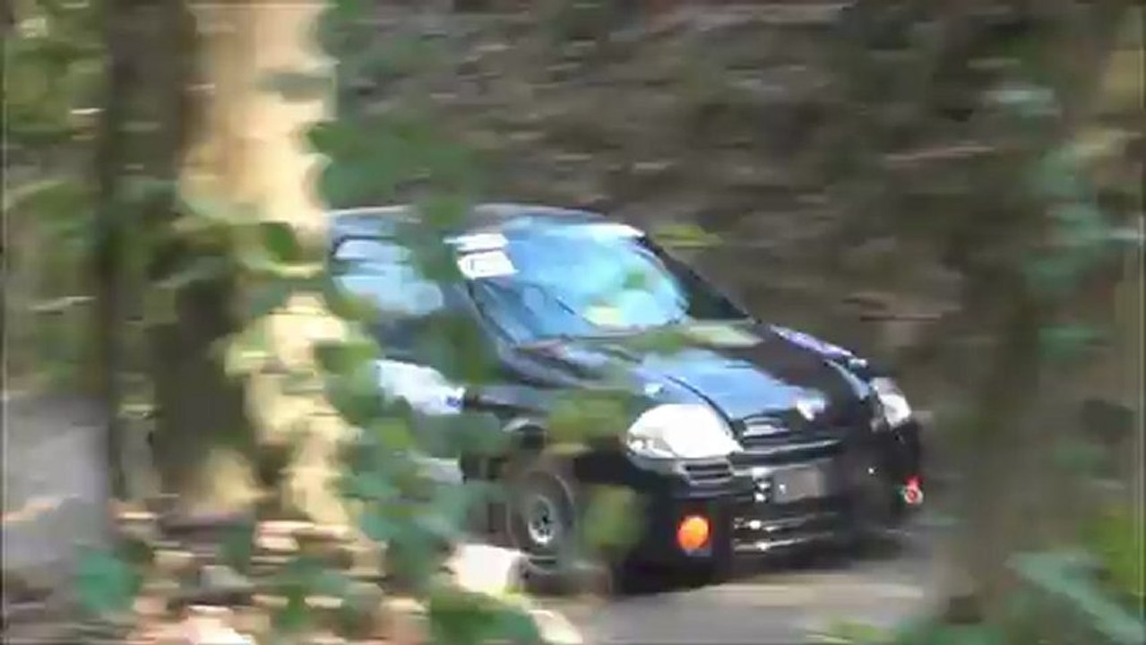 RALLYE DE LA COTE FLEURIE 2013