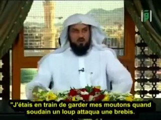 Le Loup Qui Parle  !!!! - Cheikh Mohamed Al-Arifi