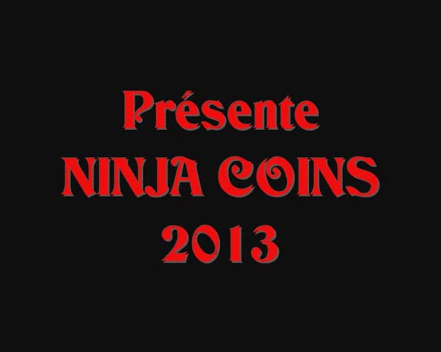 NINJA COINS. 2013