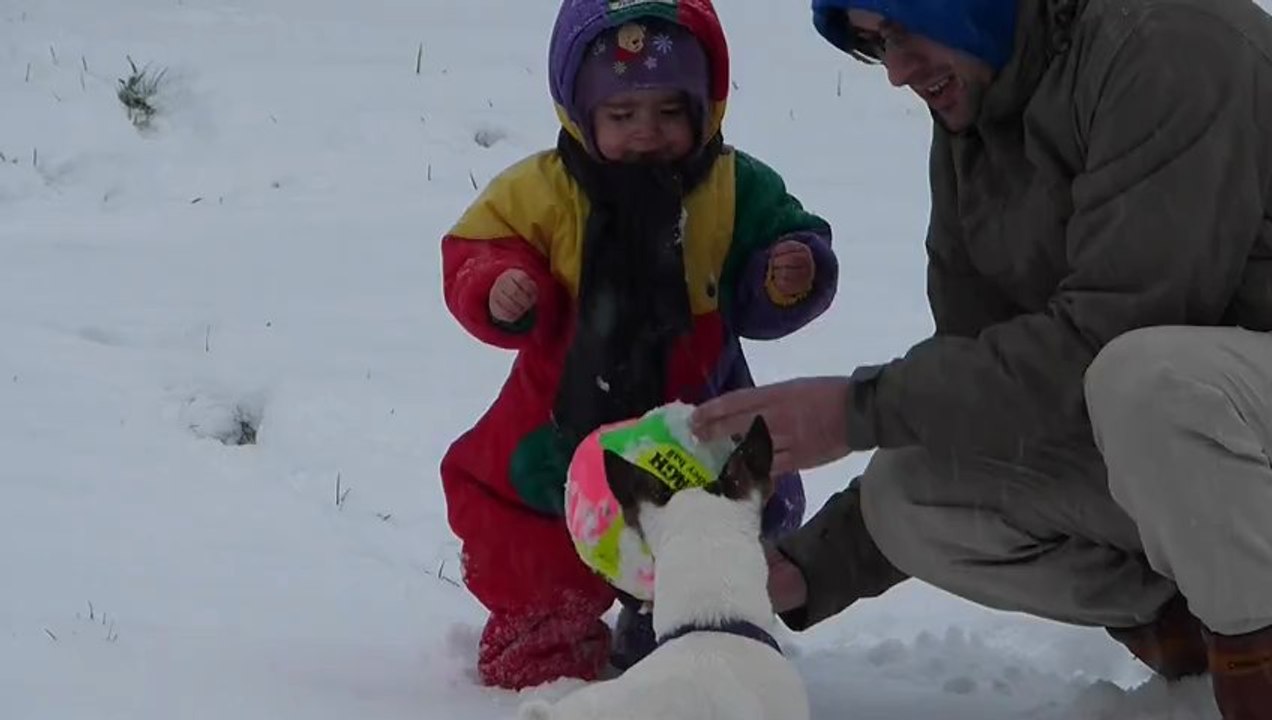 étoile des neiges
