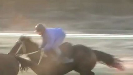 20022013 canter gazon pour les inedits