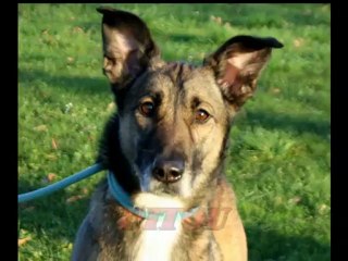 Quelques oubliés du refuge