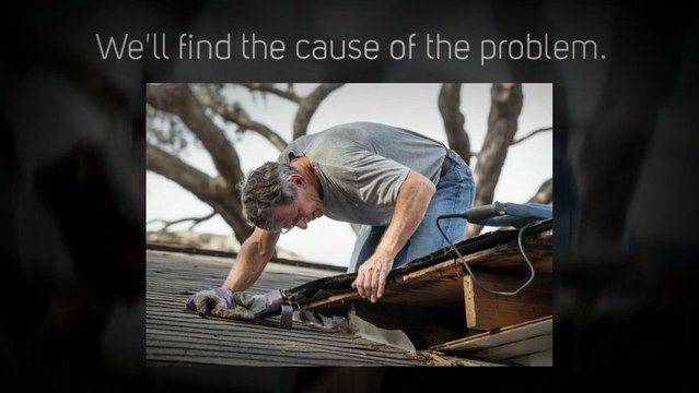 Mold Removal Columbus Ohio Call 614-602-6400