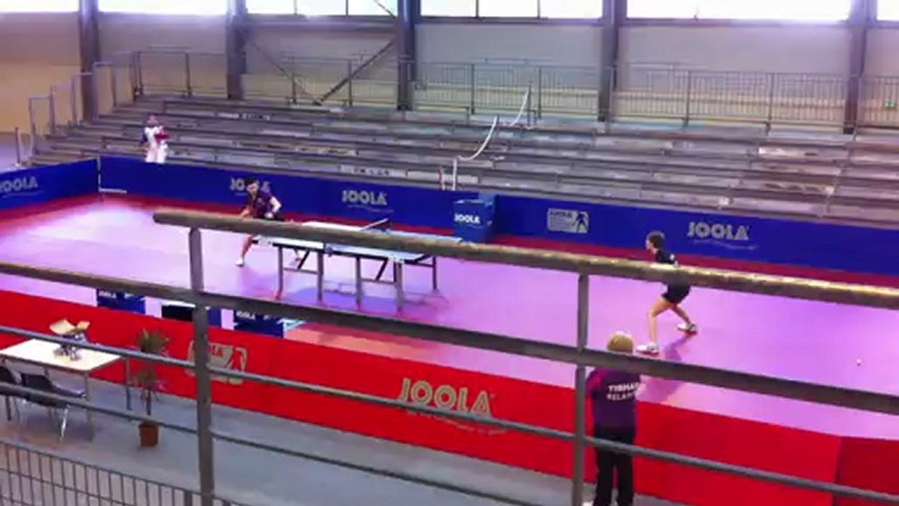 Entrainement Bielorussie-France à Gigean 29.01.2013 (2)