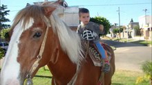Norte y el gaucho Poly.