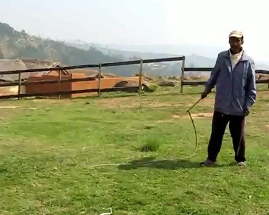 Utilisation du fouet.avi