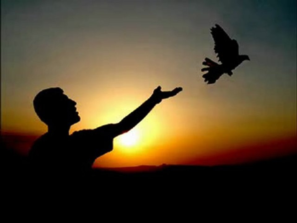 Ozcan Deniz - Ucun Güvercinler Remix By Isyankar365