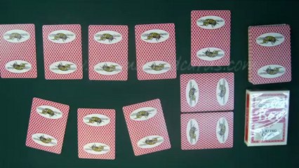 plast spelkort--Bee(With Picture)--poker fuska