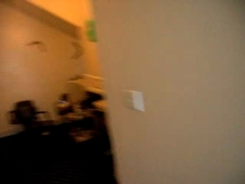 visite guidée de la maison