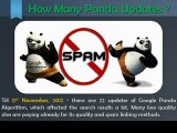 Google Panda Update 23 Launch by Google on 21 Dec-2012 Just Before Going on XMAS leaves - EBriks Infotech