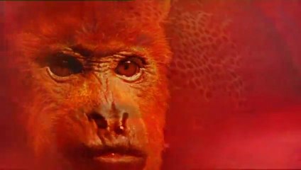 Karayipler: 3 - Kasırga Cehennemi