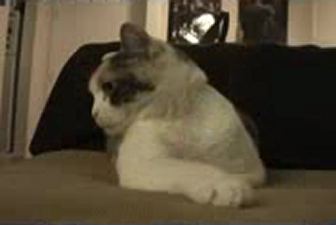 월드카지노 ‥→》 Q­c­h­1­3­8­.­c­o­m 《←‥ 스타카지노