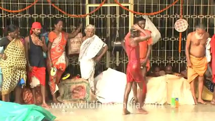 love problems solution pandit ji+-9988279155