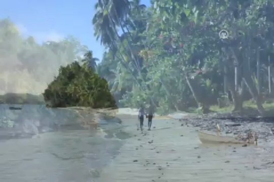 Balıkçıl kuşlarının nefes kesen okyanus dalışı