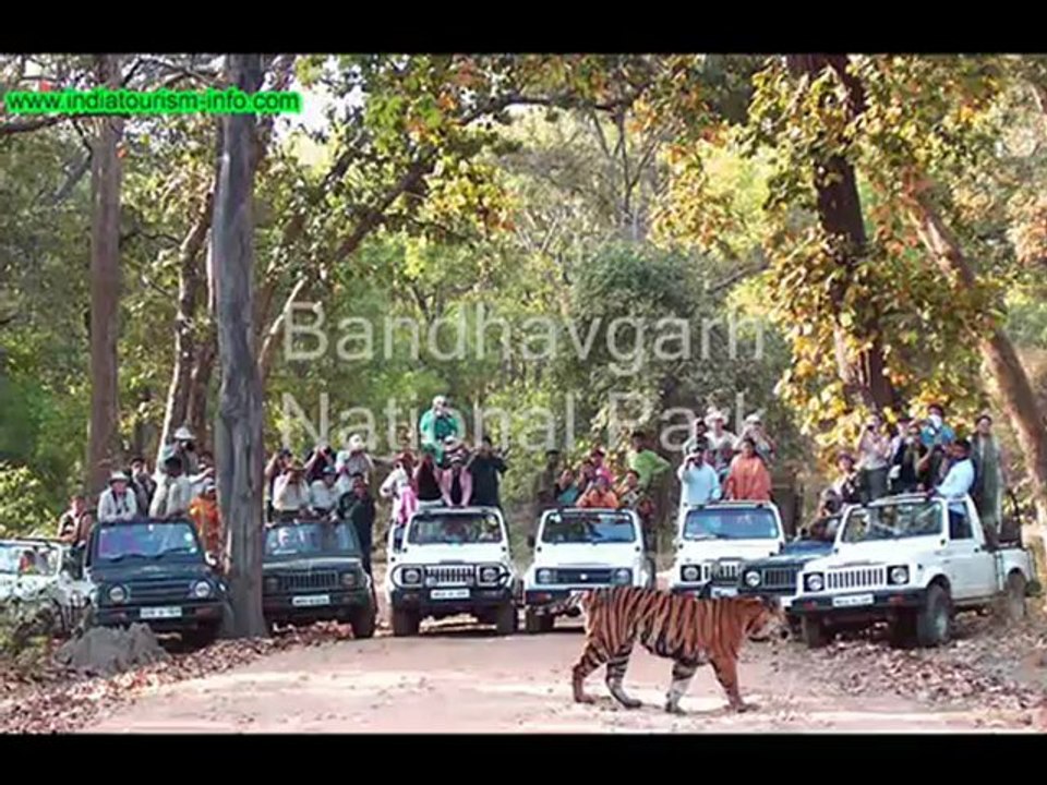 Things do in Madhya Pradesh