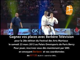 Gagnez vos places pour la 28e édition du Festival des Arts Martiaux