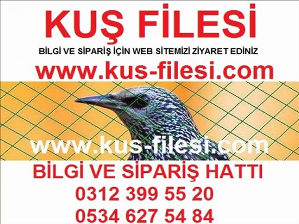 KUŞ FİLESİ,KUŞ FİLESİ FİYATI, KUŞ FİLESİ FİYATLARI,KUŞ FİLESİ ANKARA