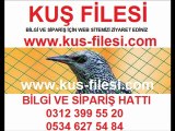 kuş-filesi,balkon-filesi,kuş-ağları,kuş-filesi-ankaraikuş-filesi-istanbul