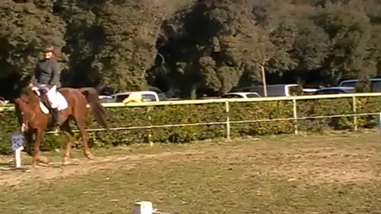 dress cce régal et moi club1