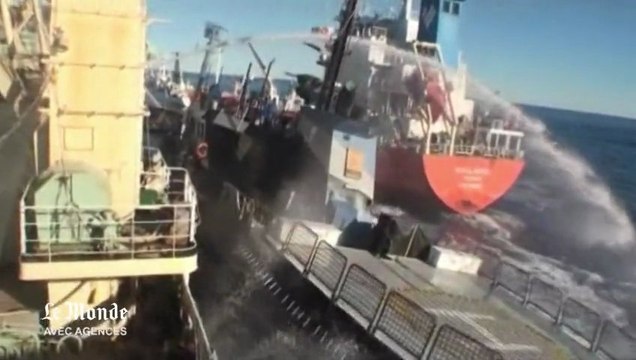 Collision d'un bateau de Sea Shepherd avec un baleinier : les images