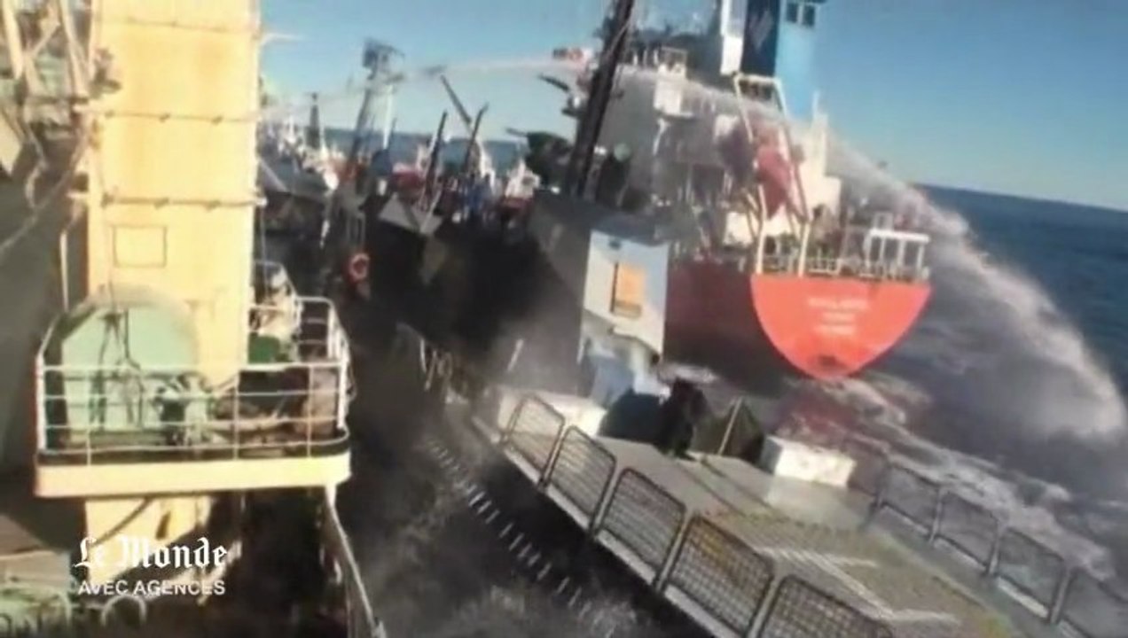 Collision d'un bateau de Sea Shepherd avec un baleinier : les images