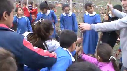 Sivil Der'in Ağaç Kampanyasına Yoğun İlgi