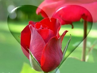 El Amor - Julio Iglesias