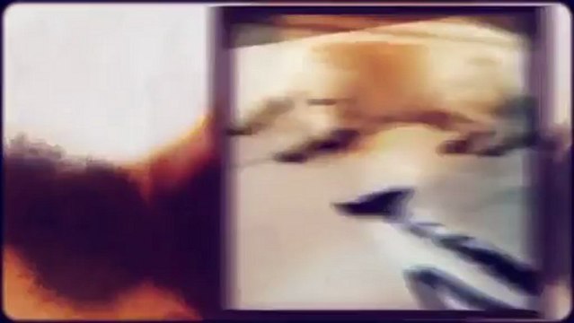 Execuclean of Boca Raton - (954) 974-4949