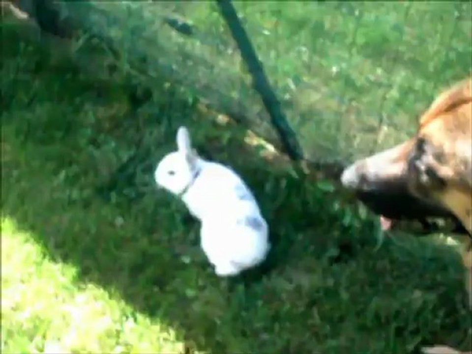 2ans de mon Loup ♥