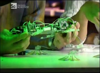 Tuhaf Bağlantılar-Sizin Sakangur Ne Kadar Tırmanıyor