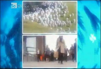 Tuhaf Bağlantılar-Tuvalet Kanunu